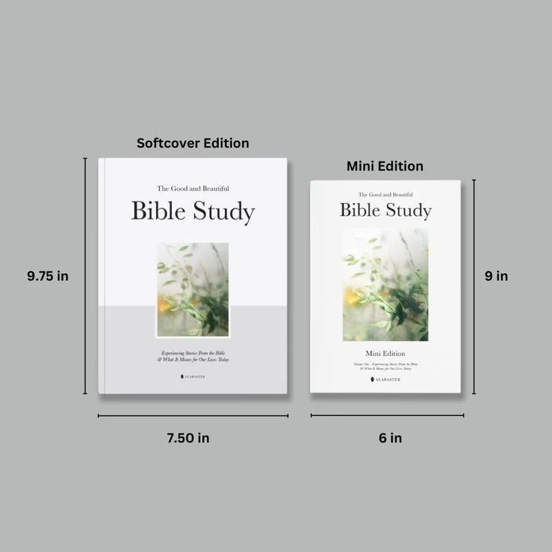 Alabaster The Good and Beautiful Bible Study Volume 1 - Guided Spiritual Bible Study with Daily Prayers